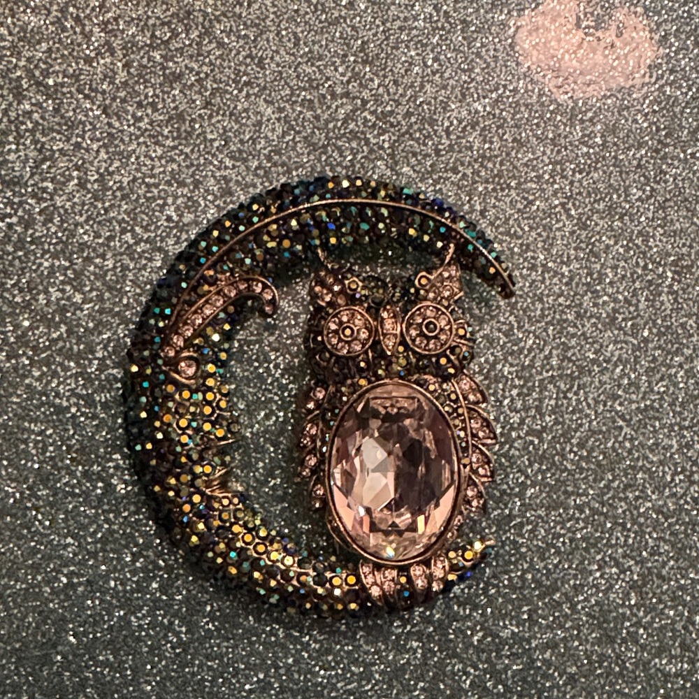 Owl and Crescent Moon Heidi Daus Brooch